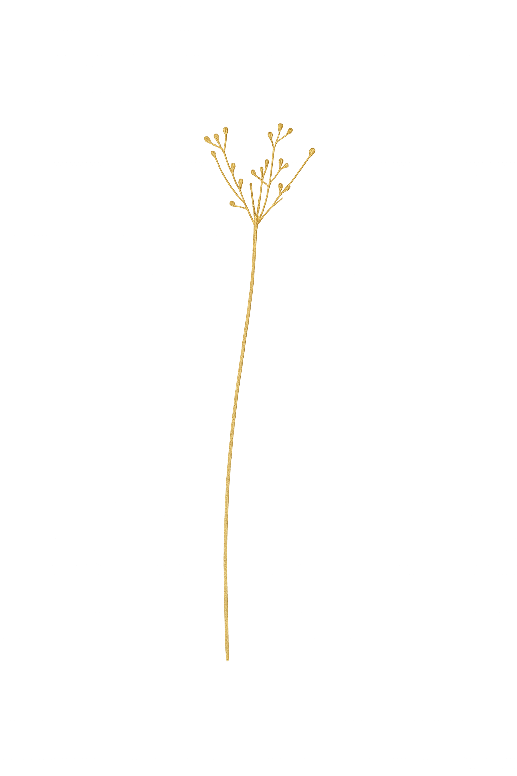 Decoración natural izquierda